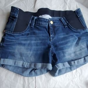 Liz Lange Maternity Shorts